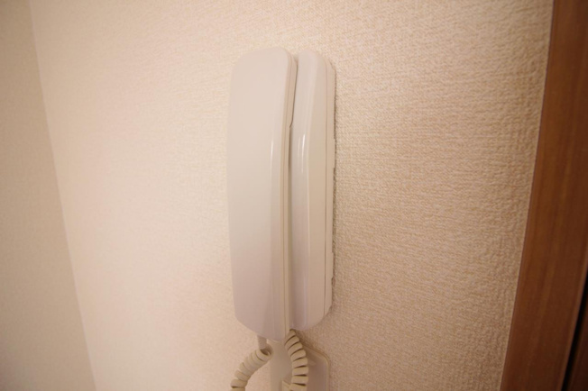 玄関ドアオープンしなくても誰が来たのか分かります。