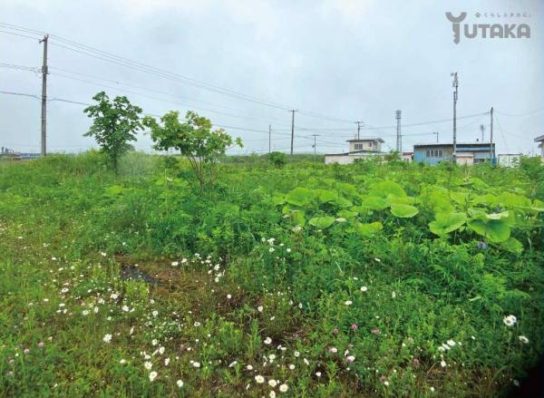 白糠町西庶路東2条南4丁目3-2土地【外観】