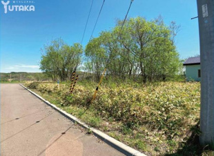 柏東7丁目142売地【前面道路含む現地写真】