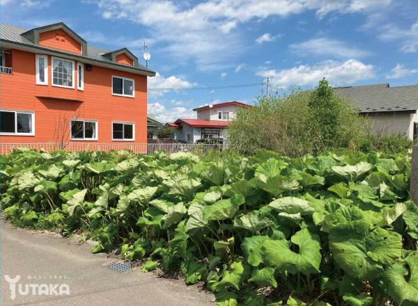 柏東7丁目95売地【前面道路含む現地写真】前面道路含む現地写真です