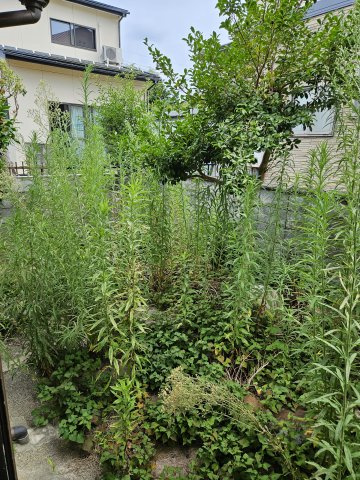 鳥取市本町5丁目中古戸建て【庭つき】