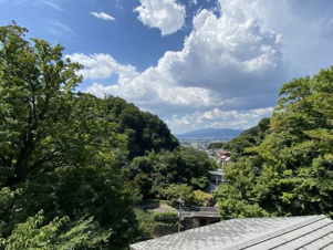 S50860京都北白川ｱｰﾊﾞﾝｺﾝﾌｫｰﾄ【その他】