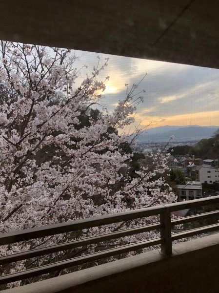 S50860京都北白川ｱｰﾊﾞﾝｺﾝﾌｫｰﾄ【その他】