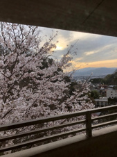 S50860京都北白川ｱｰﾊﾞﾝｺﾝﾌｫｰﾄ【その他】