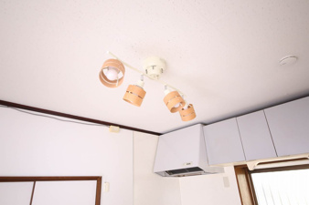 風と春色のルピシア【その他】ダウンライト