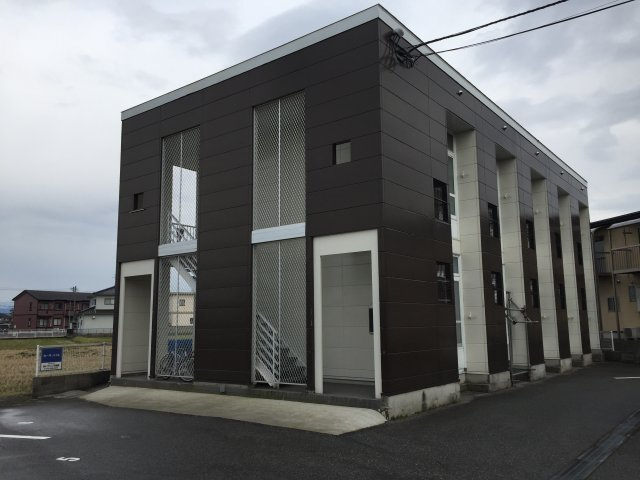 カーサスミレの画像
