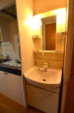 パレンテラ宮原【洗面所】別室写真です。