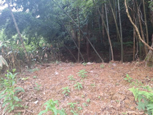 岩美郡岩美町田河内土地【外観】