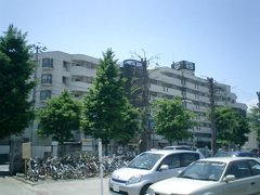 パークハイツ本町の画像