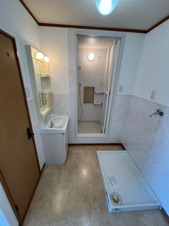 田園コーポ【洗面所】