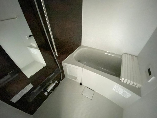 バス