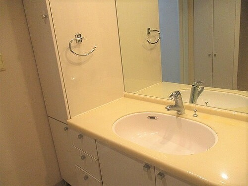 サーパス南城内【洗面所】洗面化粧台