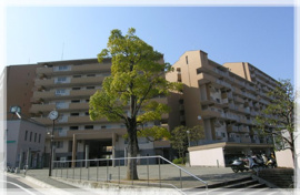 リベラス21 金剛東 3棟の画像