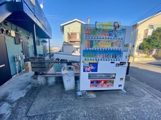 街角に設置された自動販売機は様々な飲み物を手軽に購入できます。建物の側面にありアクセスが便利なのが特徴です。太陽の光が当たり明るい雰囲気を醸し出しています。