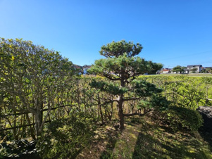 鳥取市布勢中古戸建て【庭つき】
