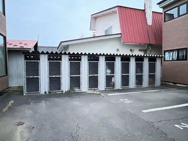 ＰＬＡＩＮ①【その他】