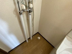 ハウスオブローズ２【その他】