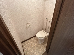 橋本ハイツ【トイレ】