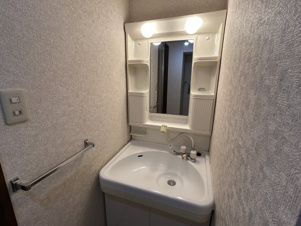 ティ・バイ・ティレジデンス【洗面所】