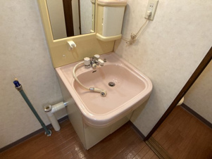 コーポグローバル【洗面所】