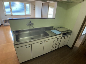 フリーダムＡ・Ｂ【キッチン】