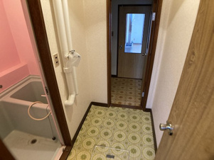 司ハイツ【洗面所】