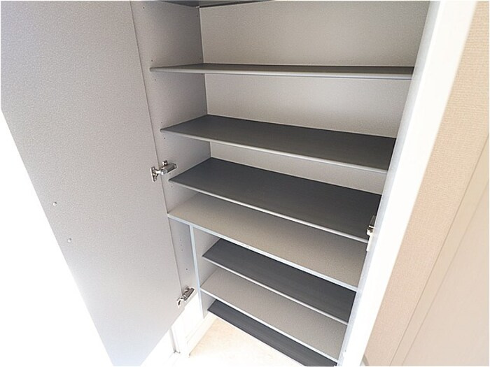 ドッググレイスコート【玄関】トールタイプの姿見付シューズボックス