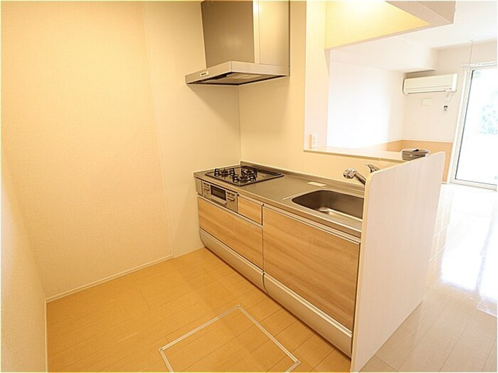 ドッググレイスコート【キッチン】対面システムキッチン（ガスコンロ付）