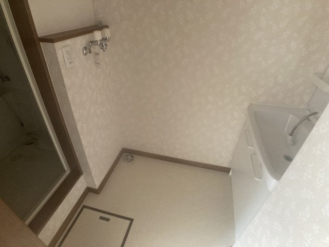 Ａｓｏｋｅｂｅｒｒｙ（アソークベリー）【その他】