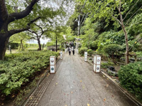 緑豊かな木々に囲まれた参道は開放感のある雰囲気が魅力です。石畳が敷かれどなたでも歩きやすい設計となっています。季節ごとの自然の変化を楽しむことができ落ち着いた環境が広がっています。