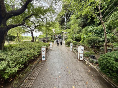 緑豊かな木々に囲まれた参道は開放感のある雰囲気が魅力です。石畳が敷かれどなたでも歩きやすい設計となっています。季節ごとの自然の変化を楽しむことができ落ち着いた環境が広がっています。