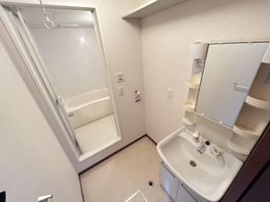 エバーグリーンC棟【洗面所】