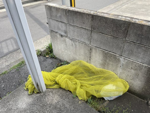 メゾン八幡町【共有部分】