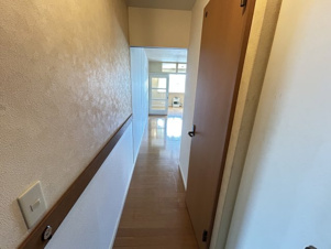 ヴィラ・ナヴォーナ【その他】