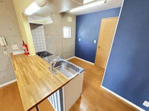 ヴィラ・ナヴォーナ【その他】