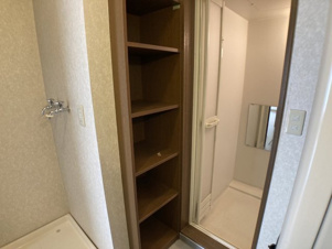 ＰＬＡＩＮ⑤【その他】