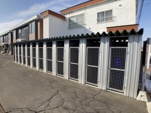 ＰＬＡＩＮ⑤【その他】