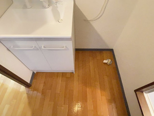 リベアビッグベン【洗面所】