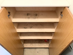 ラグジュリータウンＡ棟【収納】