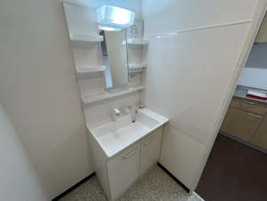 トレイブルックＫ館【洗面所】