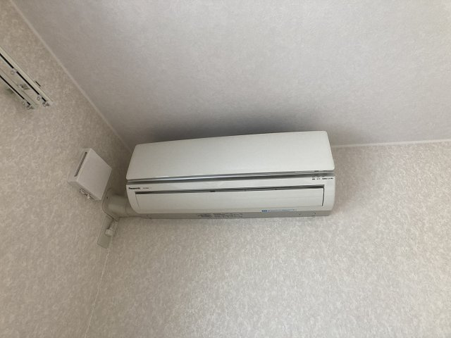 ＰＬＡＣＥＲ（プラセール）【その他】