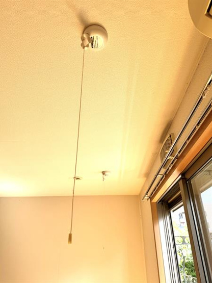 梅雨の時期には室内で乾燥を。