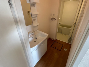 Ｌａｒｉｍａｒ２１７【洗面所】