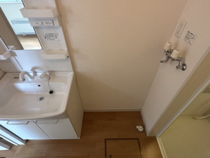 Ｌａｒｉｍａｒ２１７【洗面所】