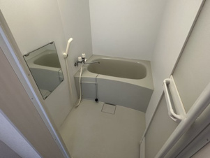 Ｌａｒｉｍａｒ２１７【浴室】