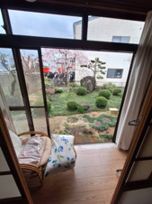 鳥取市雲山中古戸建て【庭つき】縁側からの景色。花見も楽しめます