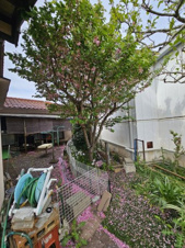 鳥取市雲山中古戸建て【庭つき】
