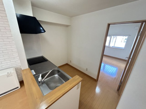 プラシードⅢ【その他】