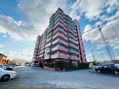 開花ハピネスの画像