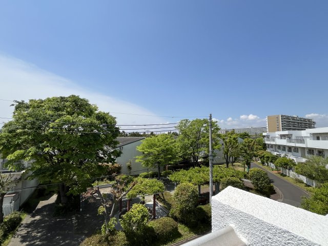 入船中央エステート【展望】